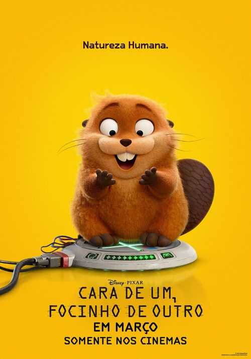 Cartaz do filme Cara de um focinho de outro